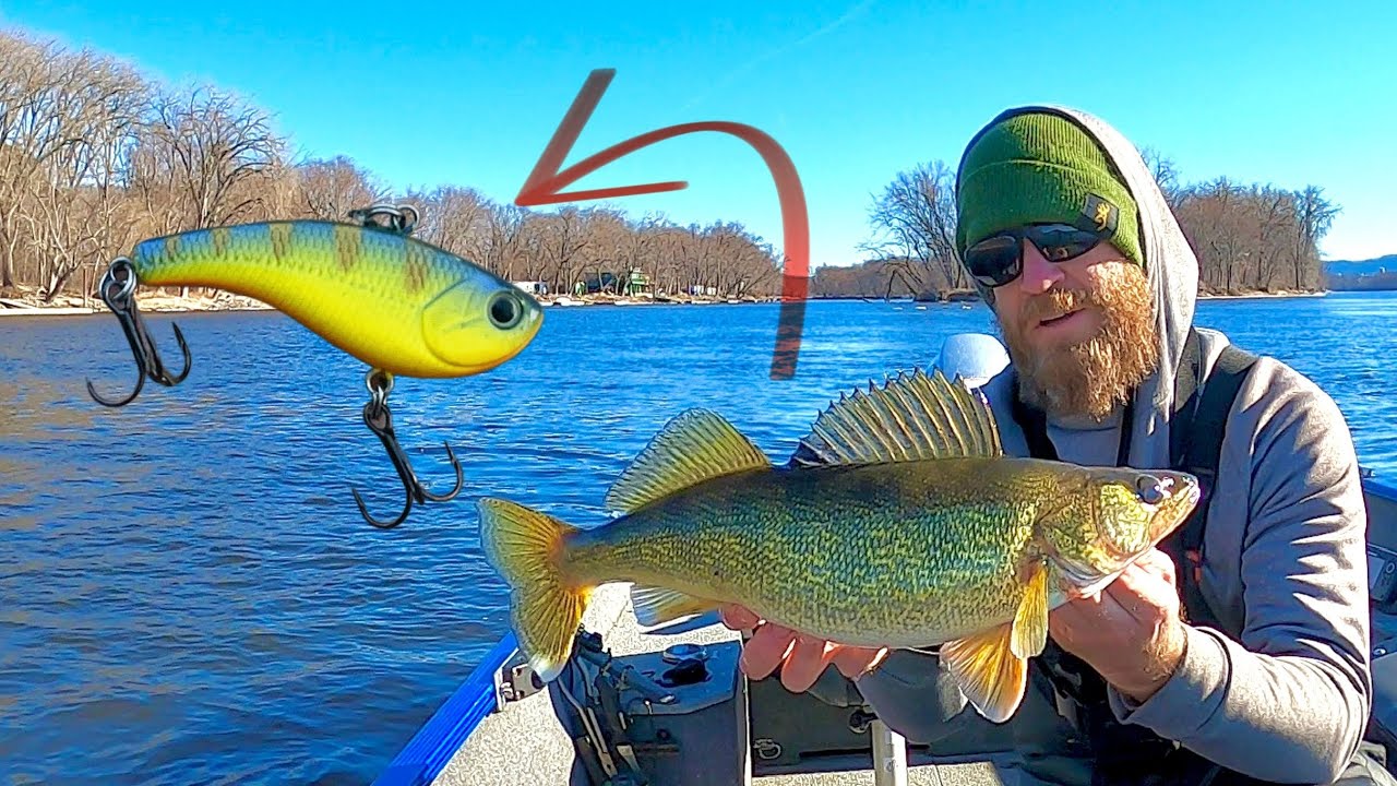 FORCE Walleyes to Bite! | Micro Hard Baits for Mid-Day Mississippi River Walleye