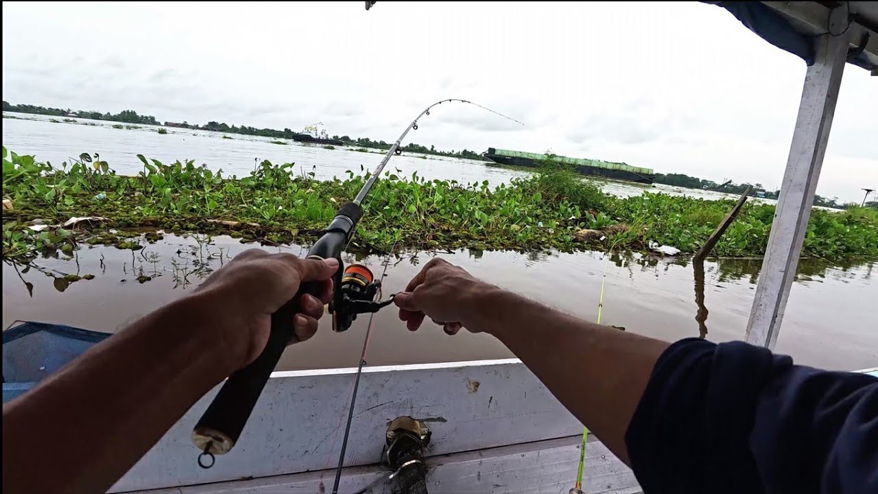 ga perlu jauh-jauh untuk mendapatkan ikan yang banyak