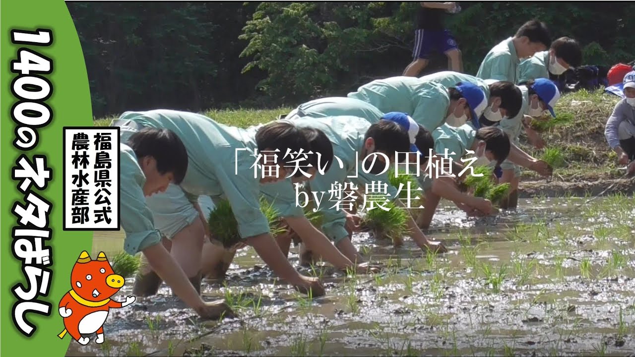 福島県オリジナル品種「福､笑い」の田植え by磐農生