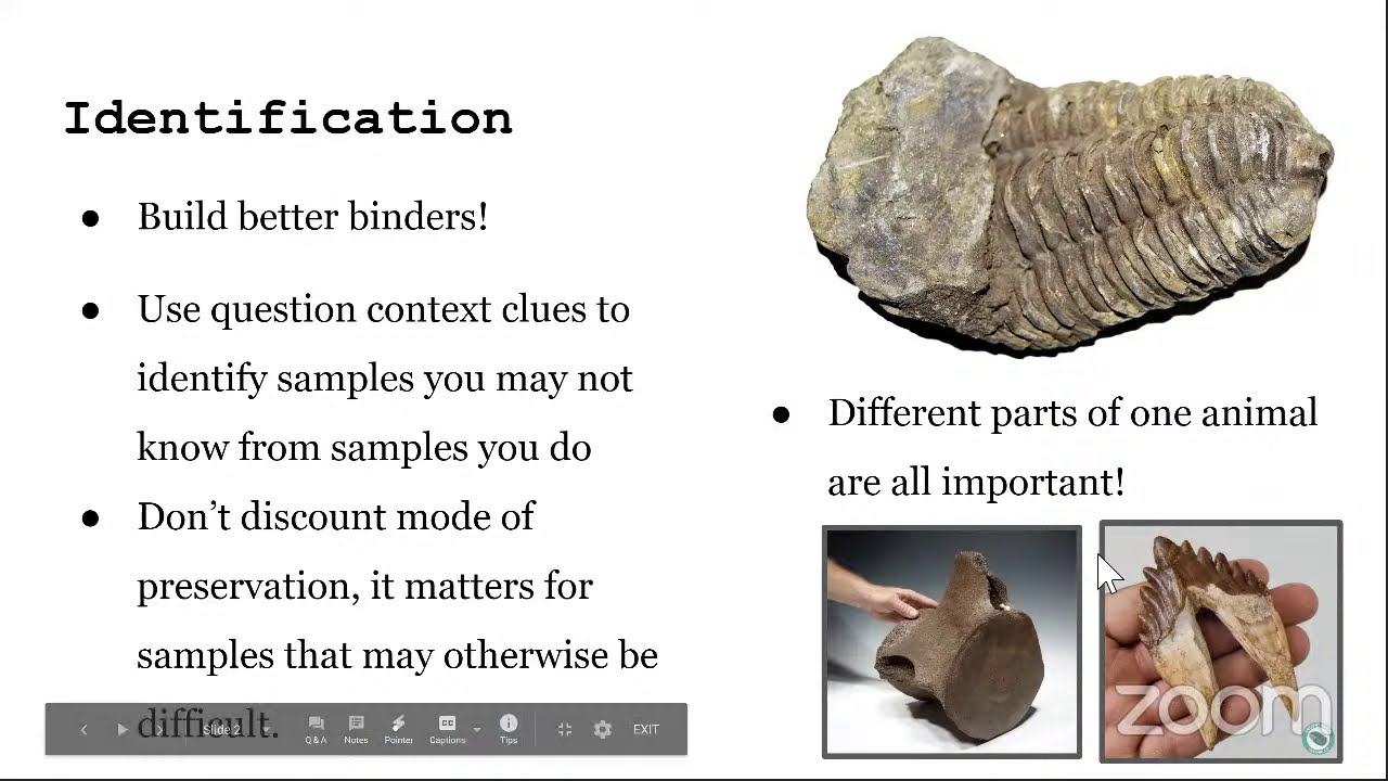 Fossils (B, C) — Science Olympiad