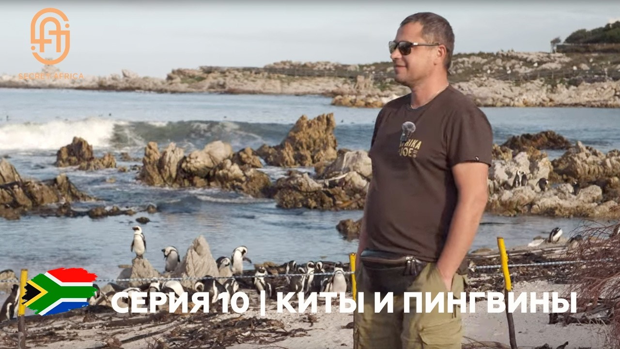 Серия 10 Киты и Пингвины в ЮАР | Винодельня из ТОП 100 мира