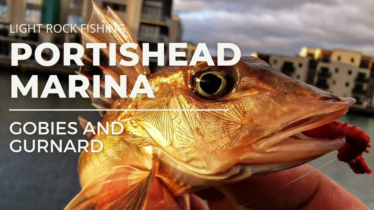 Light Rock Fishing - Portishead Marina - Gobies and Gurnard