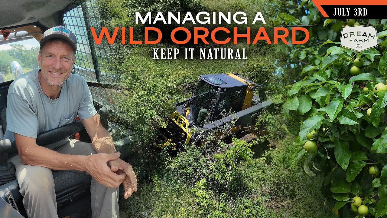 Managing a Wild Orchard - Letting Nature Run It's Course | Dream Farm w/ Bill Winke