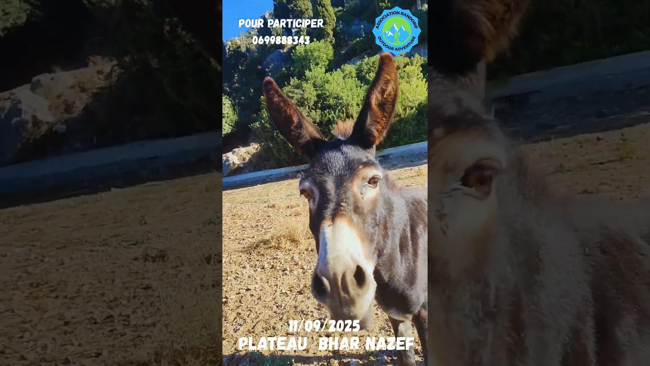 PLATEAU BHAR NAZEF 11 SEPTEMBRE 2025