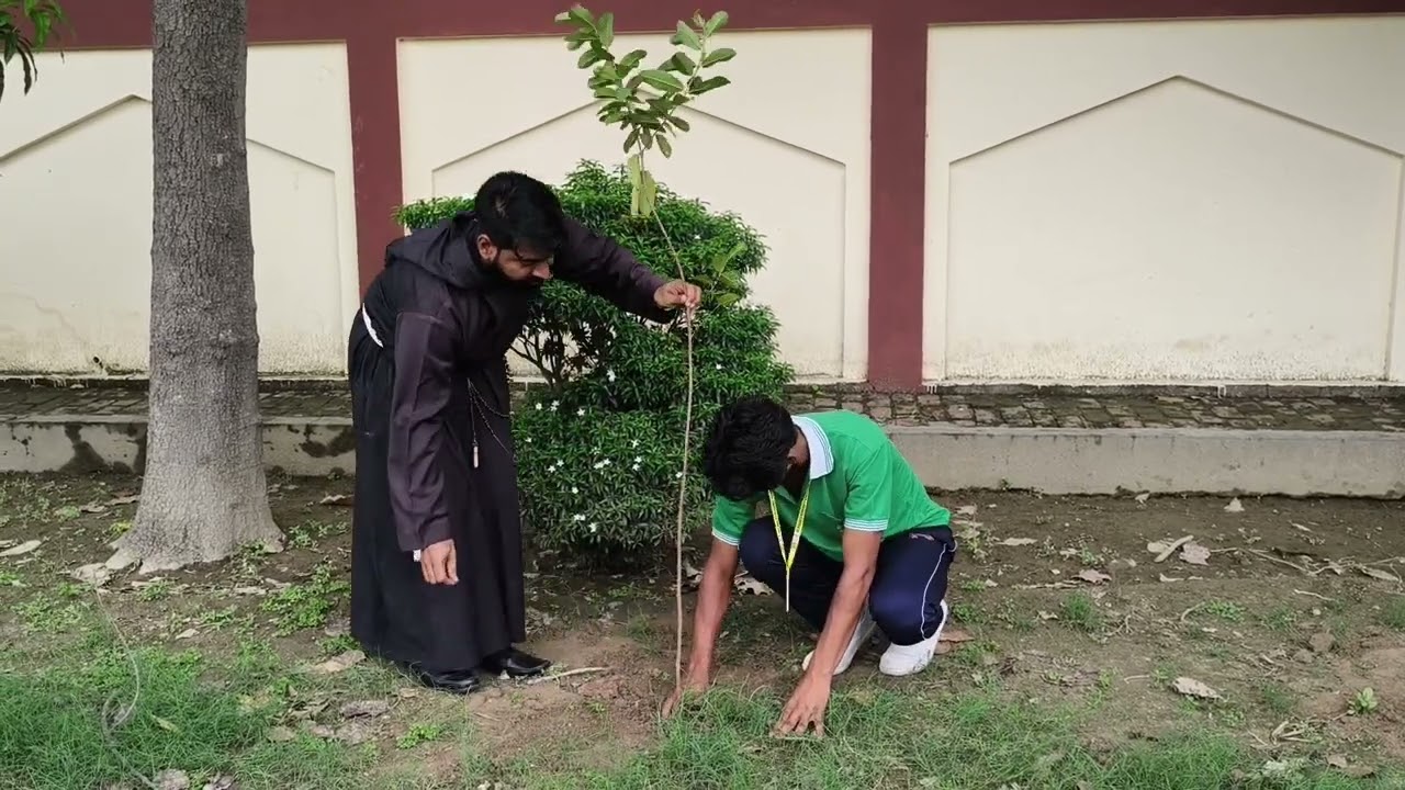 🌱🌳 Green Today, Better Tomorrow! 🌳🌱