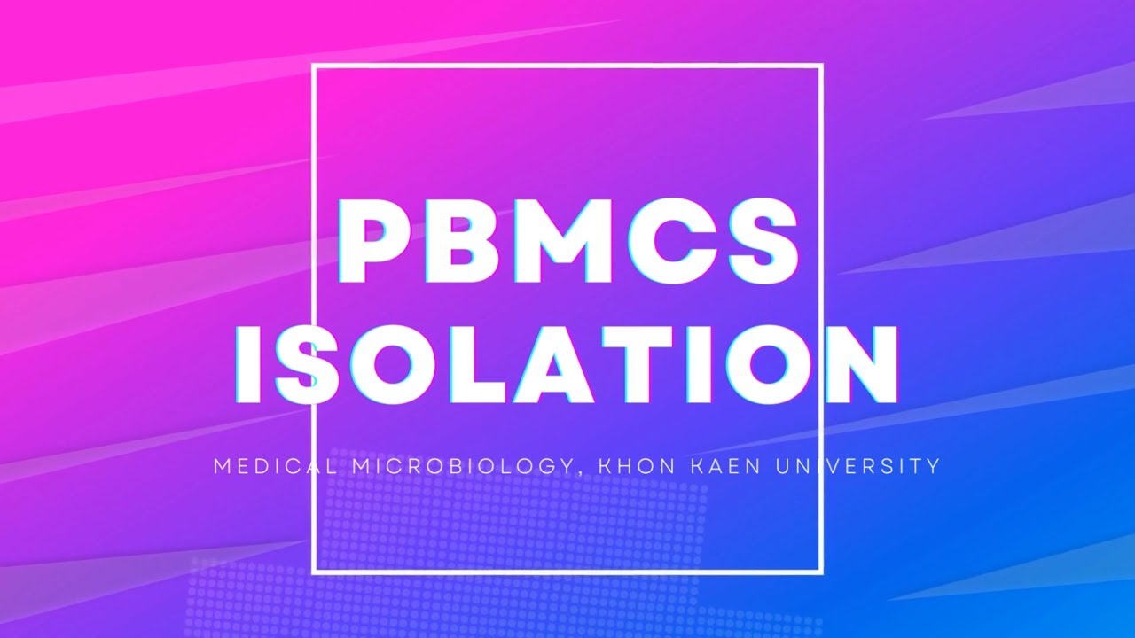 PBMCs isolation: density gradient centrifugation technique
