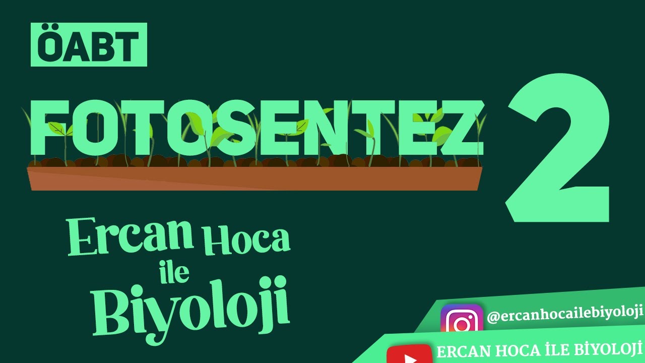 35) FOTOSENTEZ II (Biyoloji ÖABT Dersleri)
