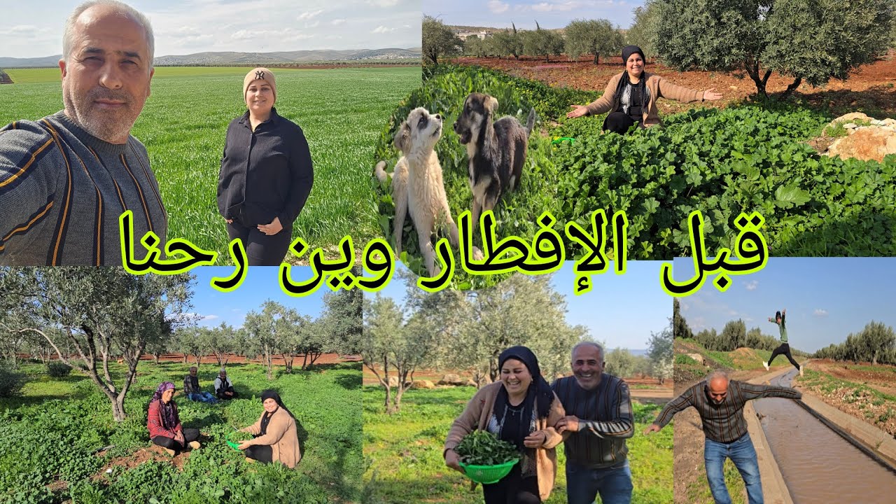 أحلى فلوك قبل الإفطار شوفوا، وين رحنا. على طلب المتابعين#قناه_ام_رودي #اكسبلور 