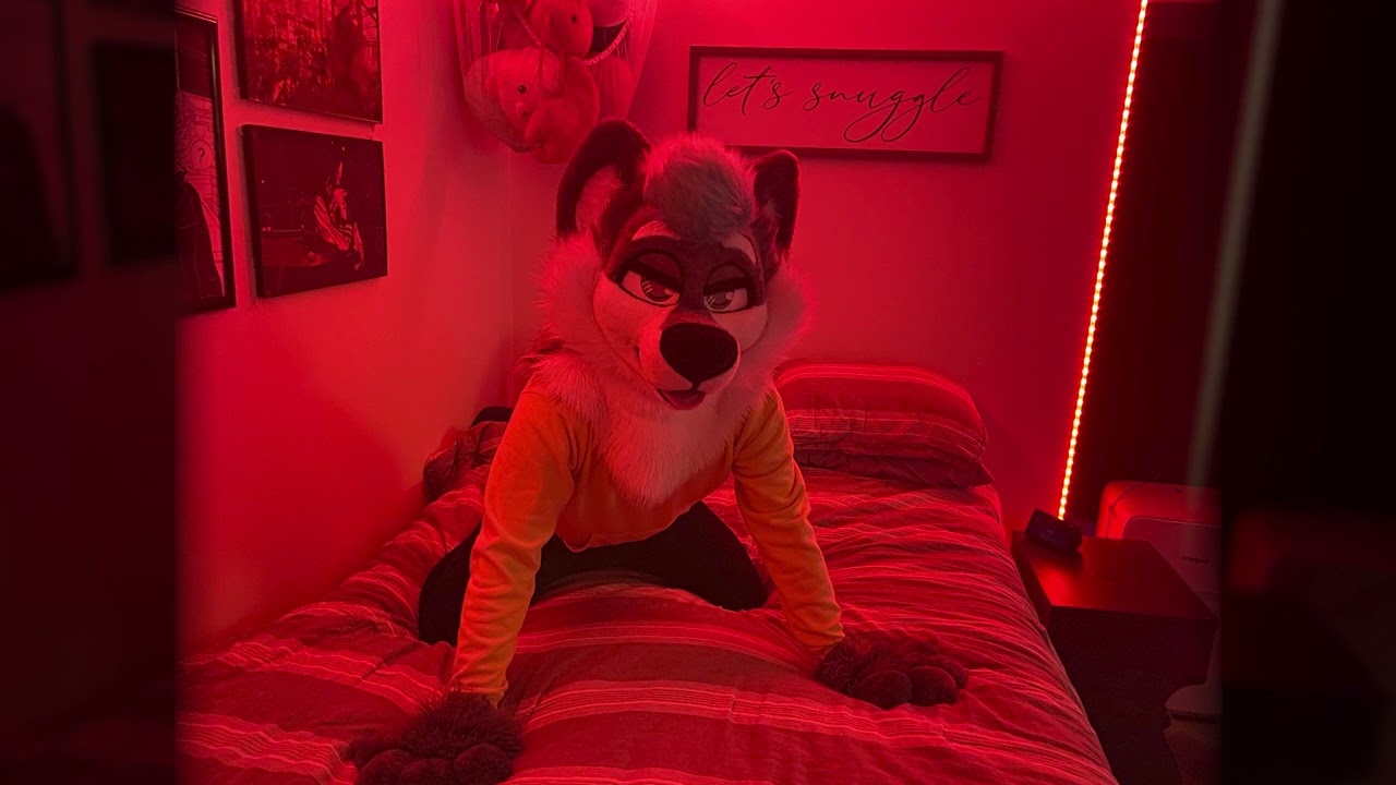 Come Cuddle With Werewolf Boyfriend [FURRY ASMR]