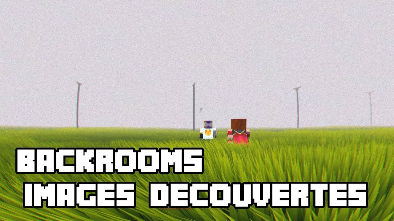 VOYAGE au CENTRE des BACKROOMS (Backrooms #1)