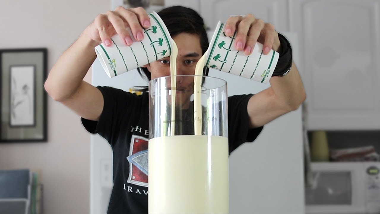 1.25 GALLON Vanilla Milkshake (6,090 Calories)