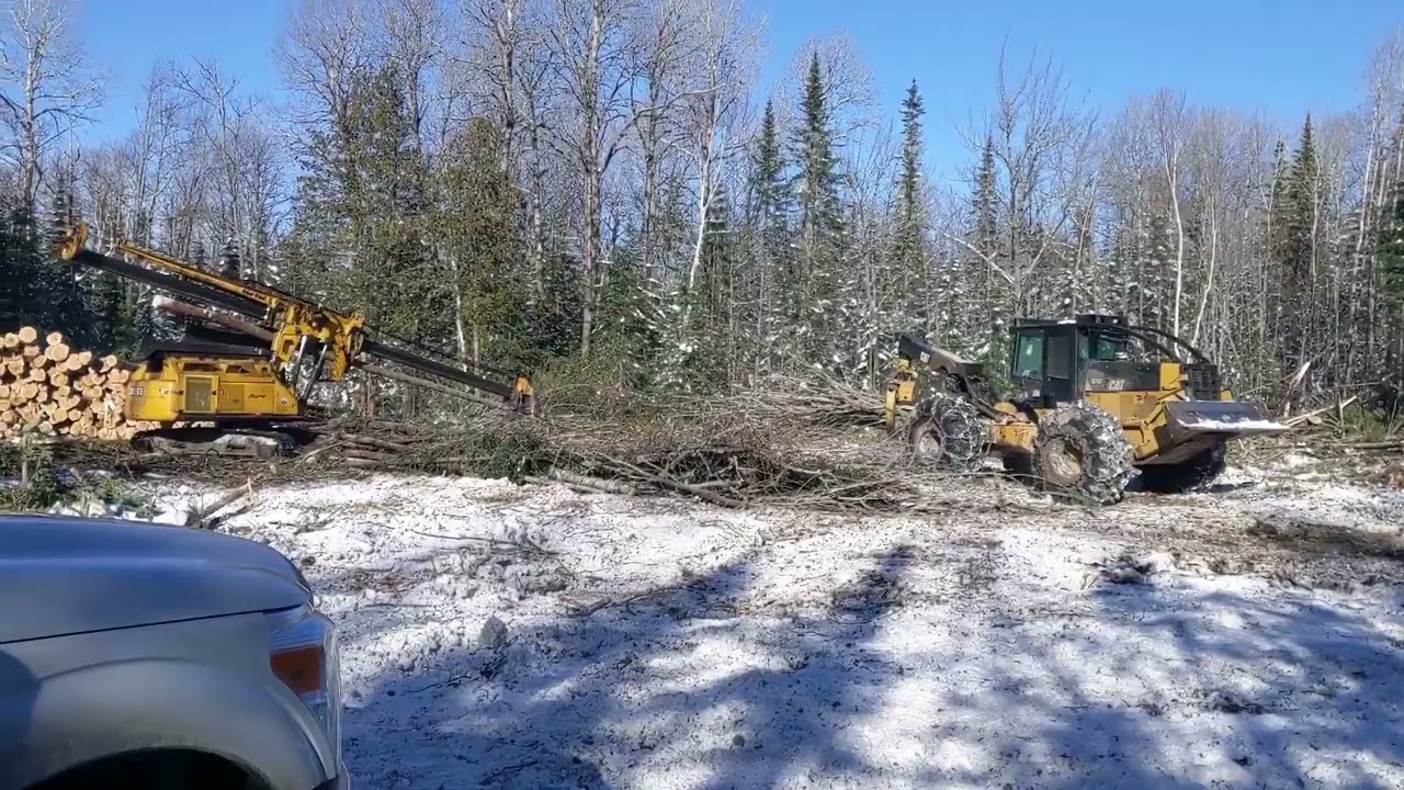 Northern Maine Timber Harvest: Delimber and Grapple Skidder