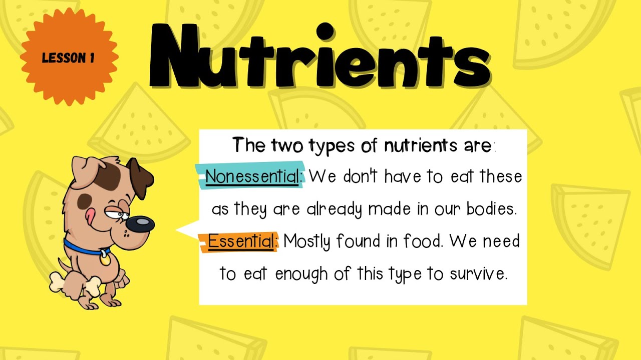 Lesson 1: Nutrients
