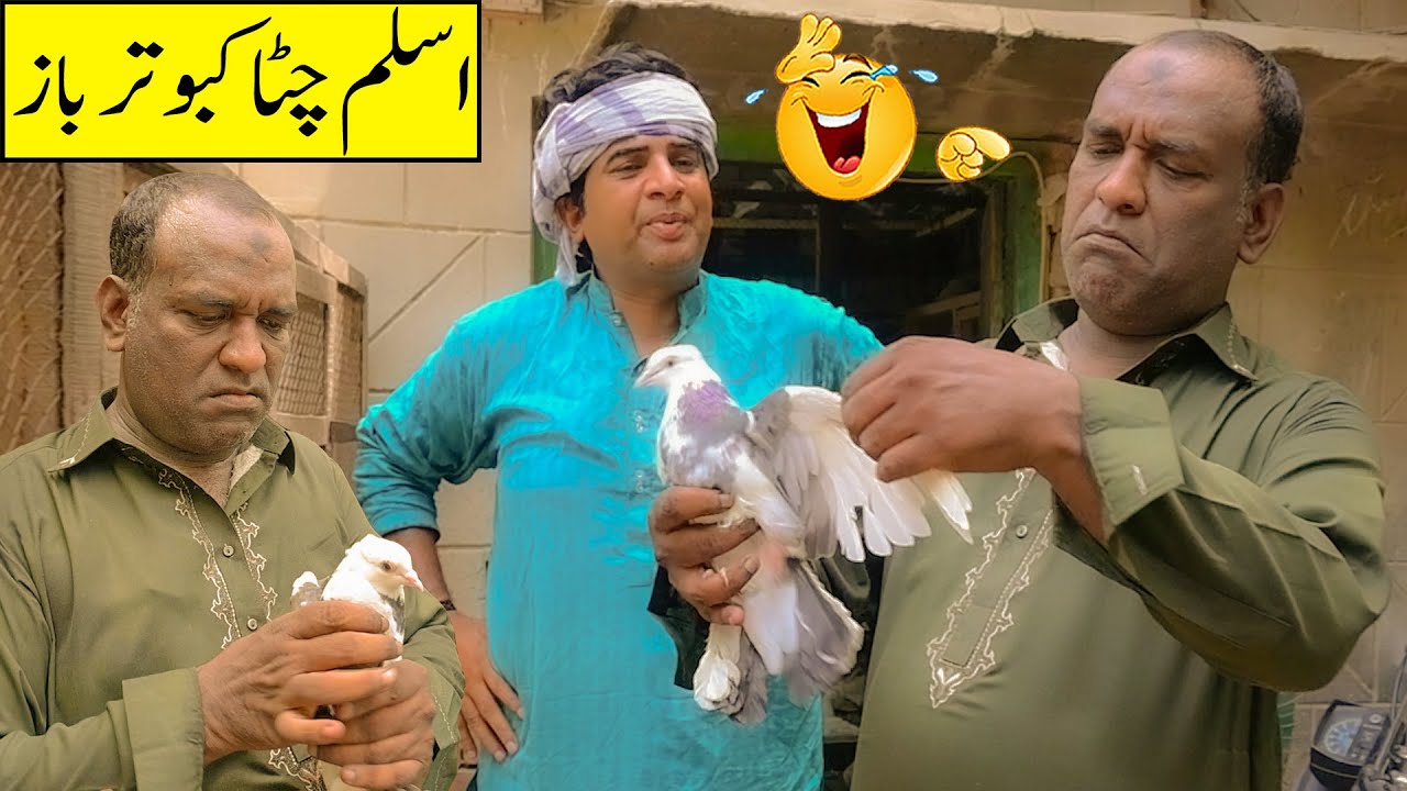 Aslam Chitta Kabootar Baz | New Funny Video 😂 | Shahid Hashmi | Apni Team Funny