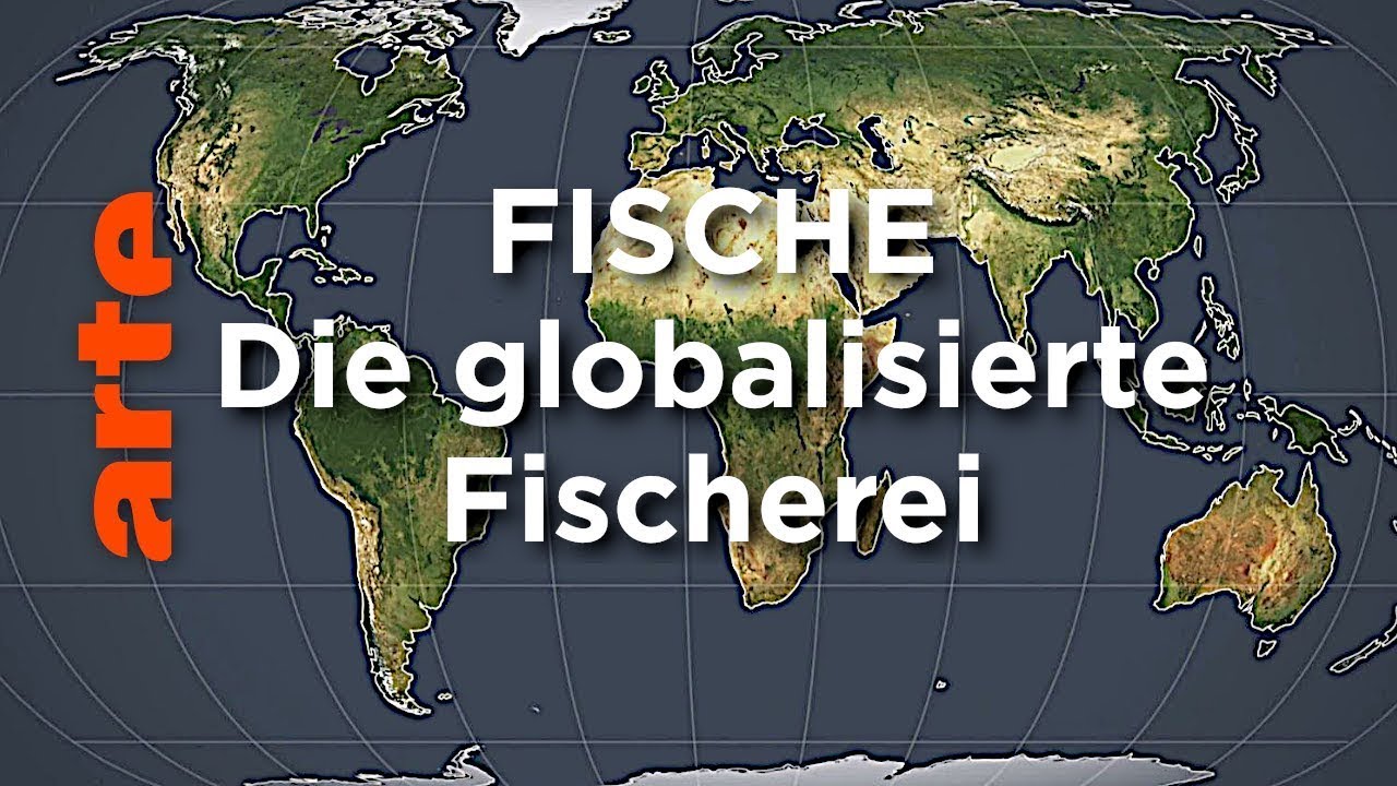 Fische - Die globalisierte Fischerei | Mit offenen Karten Reupload | ARTE