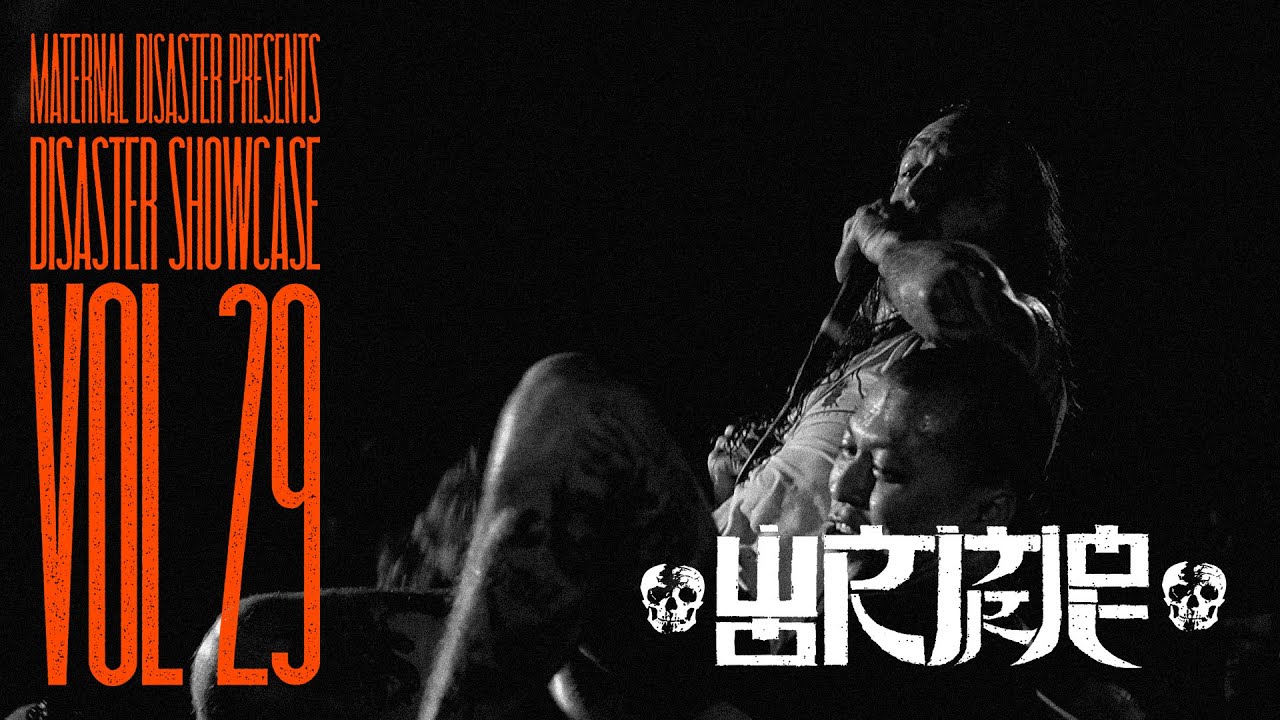 WORMROT at Vol 29 | Full Set