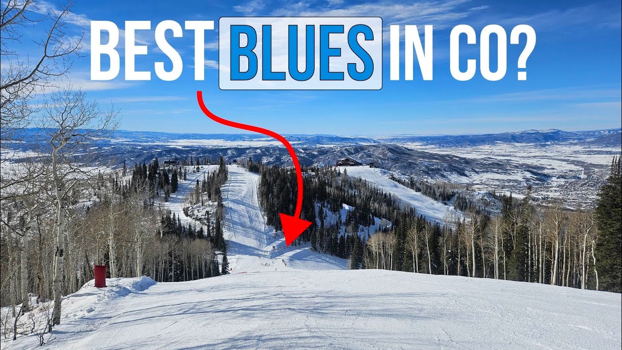 The Best Blue Groomers in Colorado