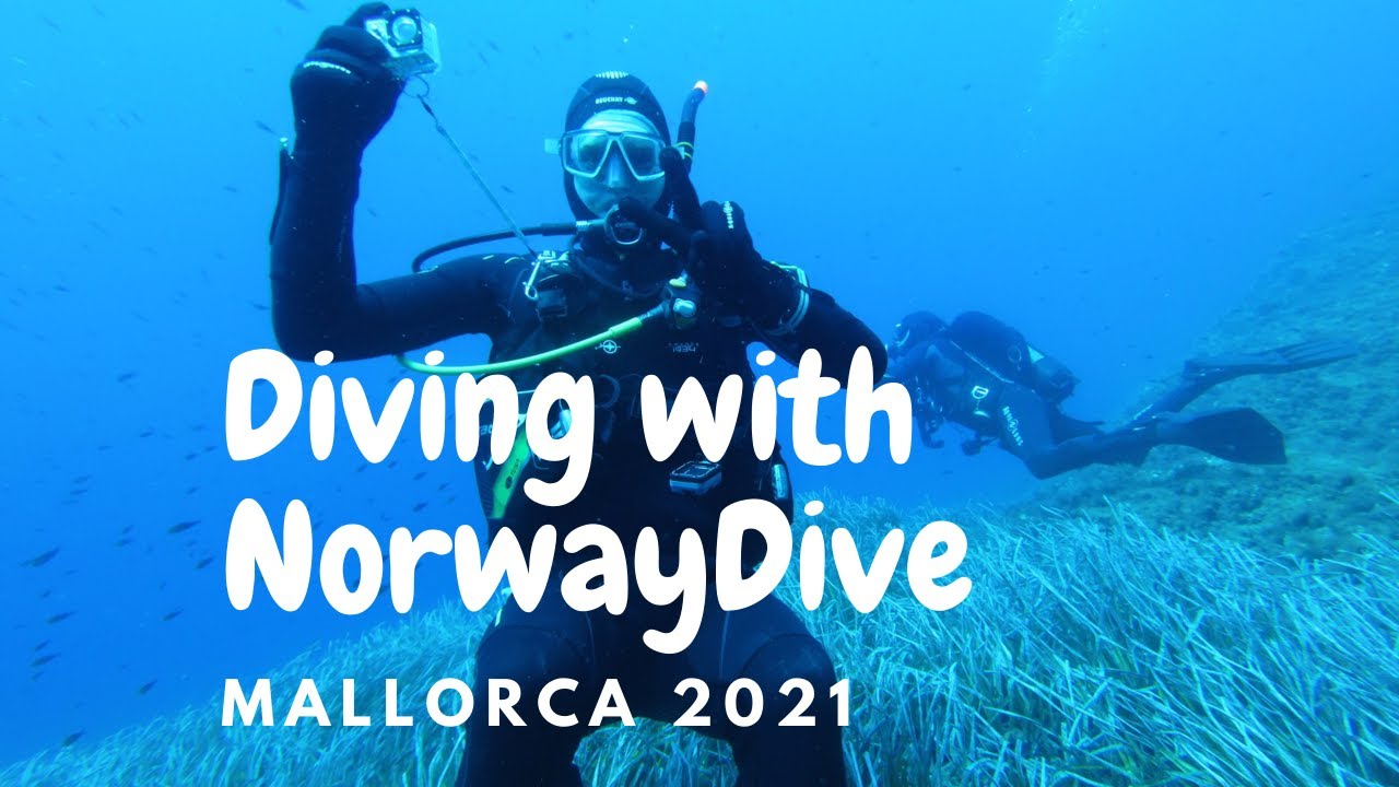 Come Scuba Diving With Norway Dive Mallorca!