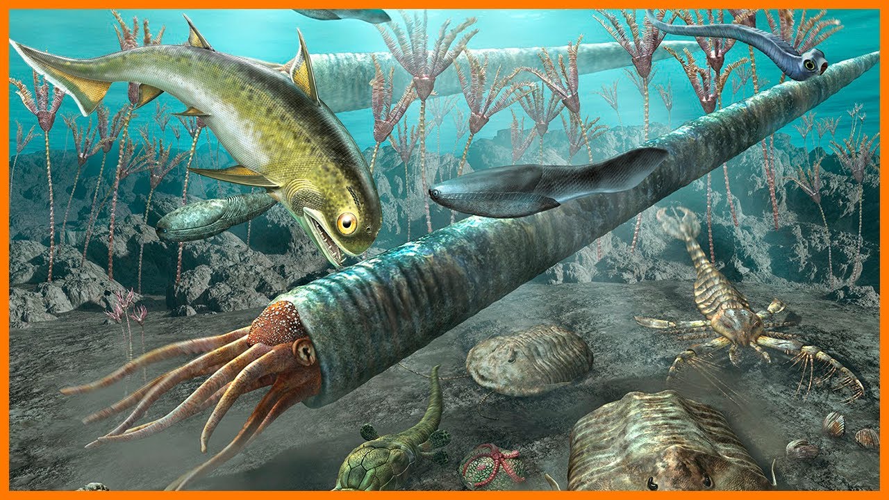 A grande diversificação do ORDOVICIANO: Ostracodermes, Euripterídeos, Orthoceras e Gnatostomados
