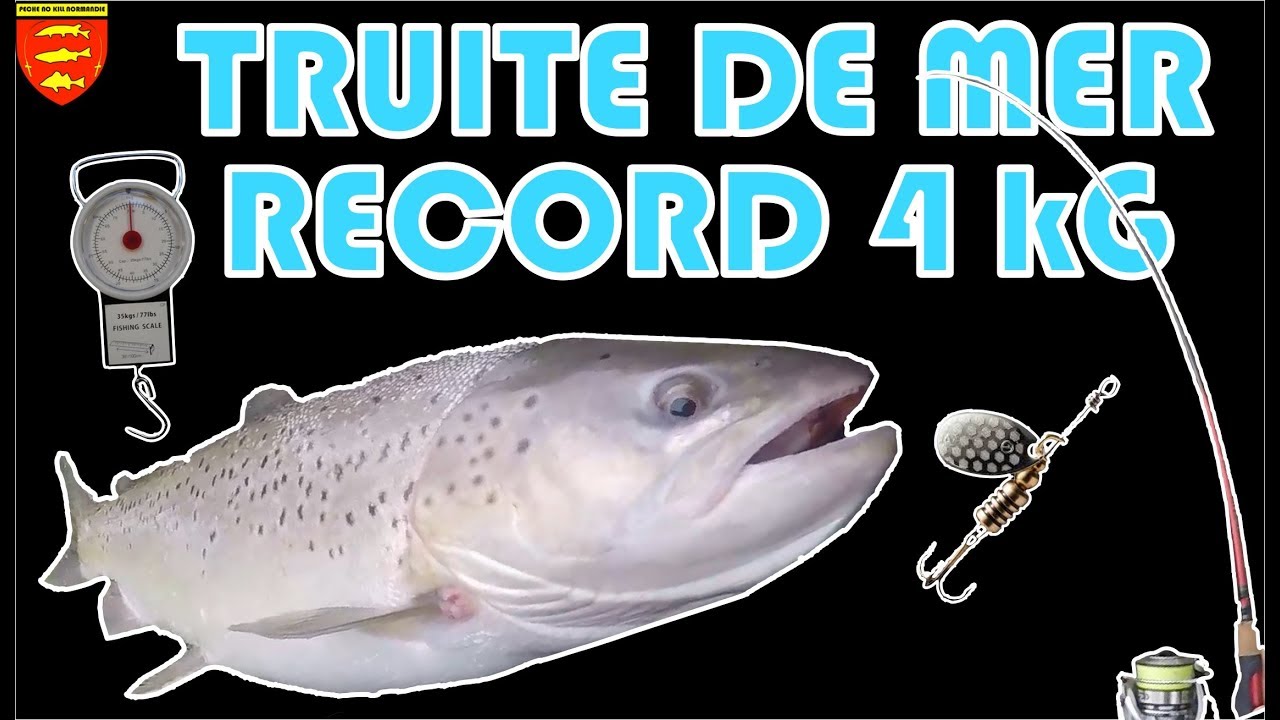 Pêche d'une énorme truite de mer : combat mémorable !!!!!