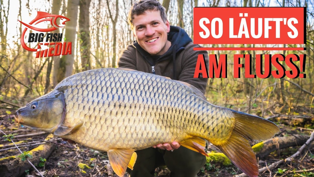 Karpfenangeln am Fluss: Gregor startet seinen ersten Versuch in 2021