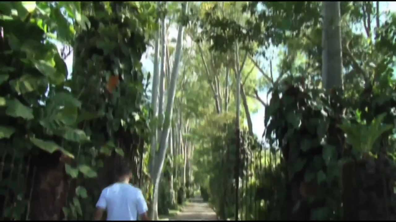 Bernardo Paz Wants to Build the World's Largest Modern Art Park Part 1 of 2