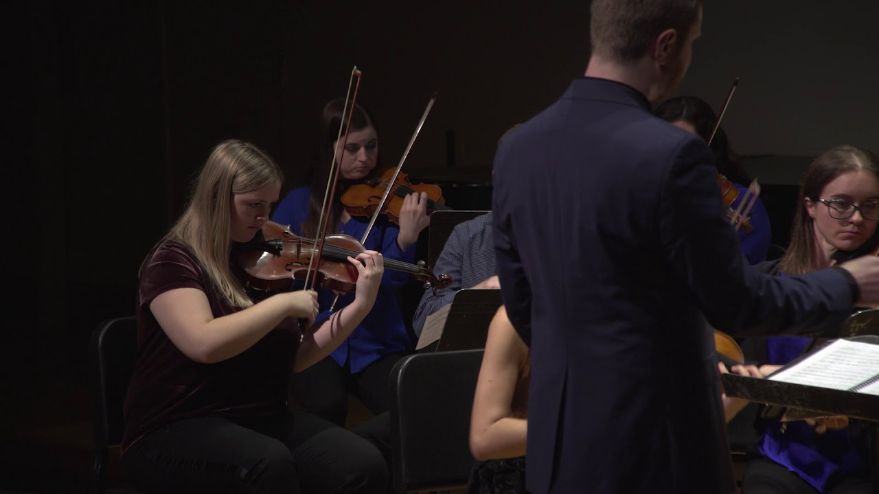 'The Universe Within Us' for string orchestra by Matthias McIntire (2016)/(revised 2019)