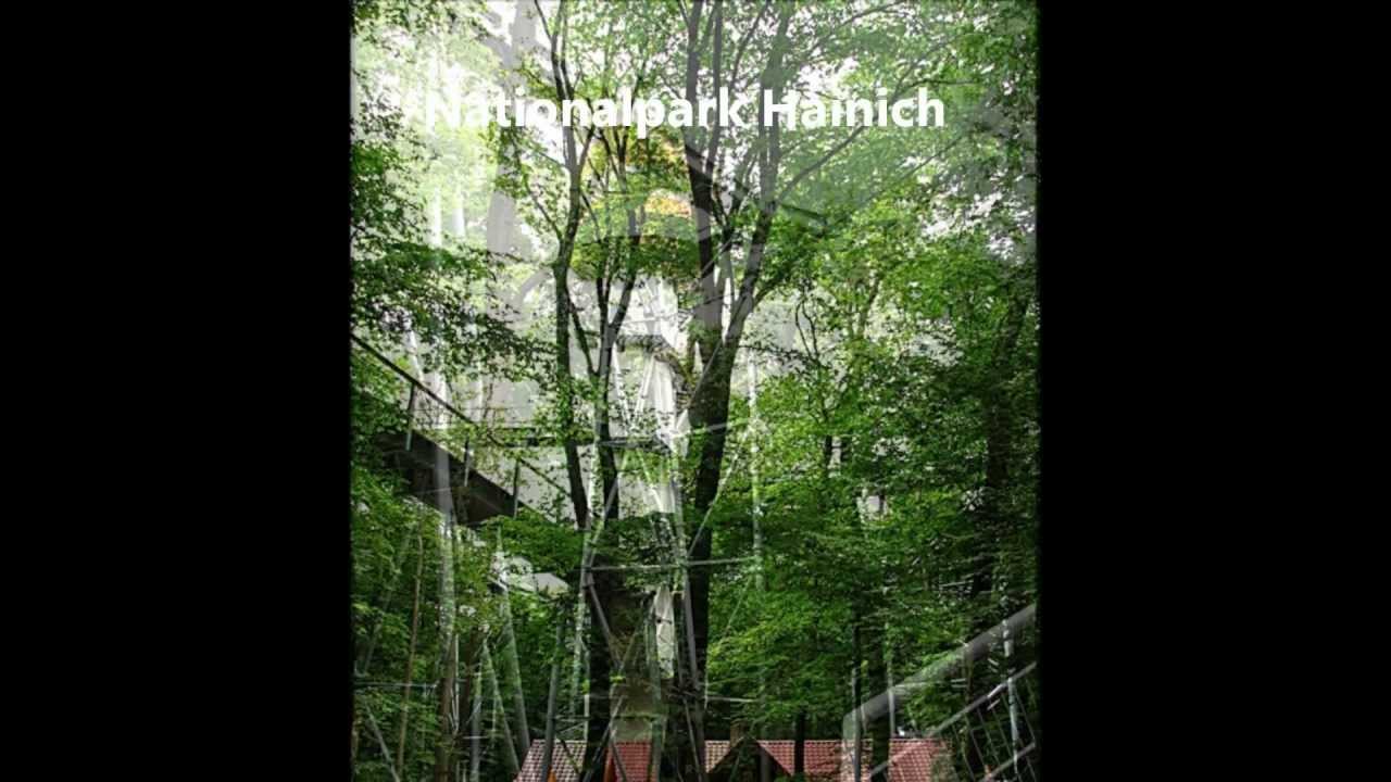 Nationalpark Hainich - Baumkronenpfad