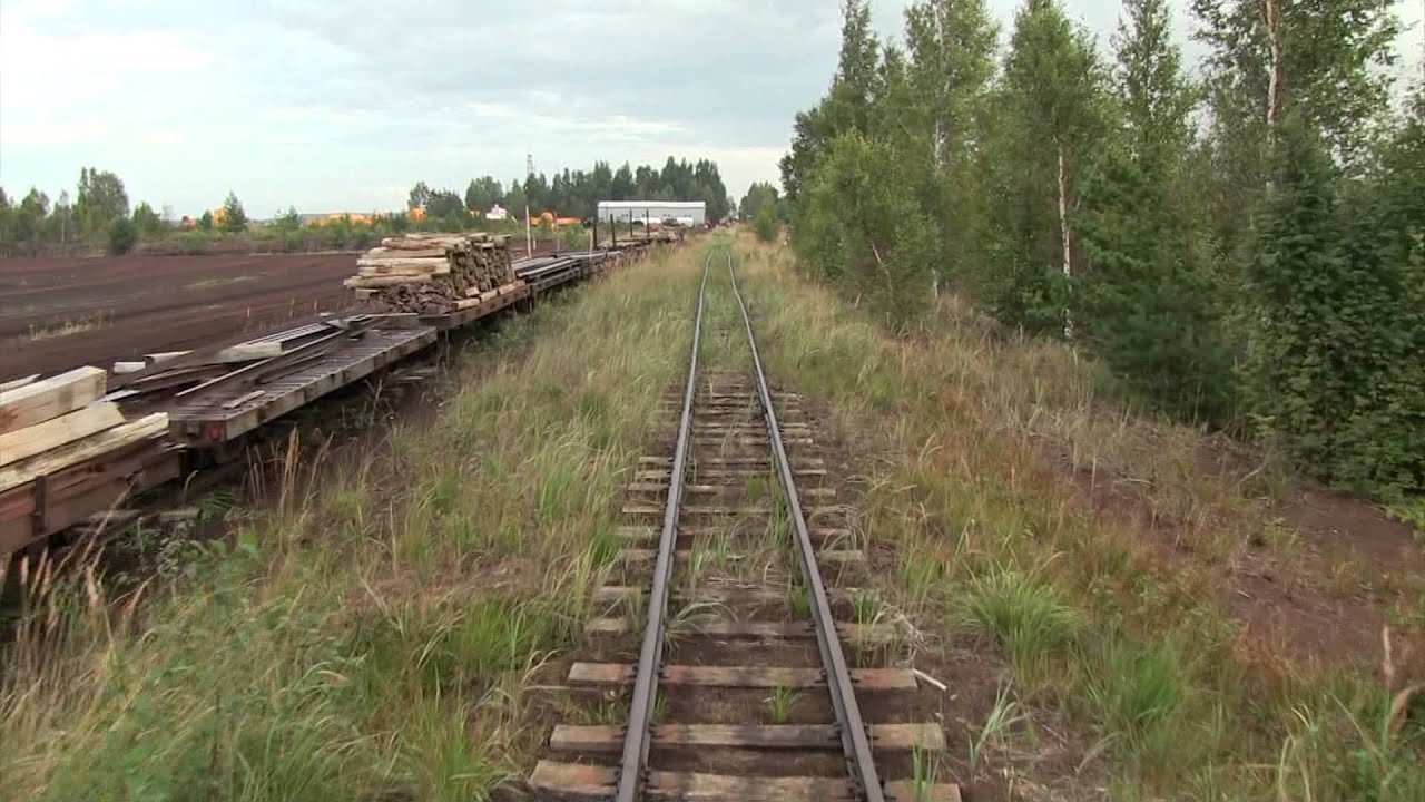 Узкоколейная железнодорожная линия в Лавассааре / Narrow gauge railway line in Lavassaare