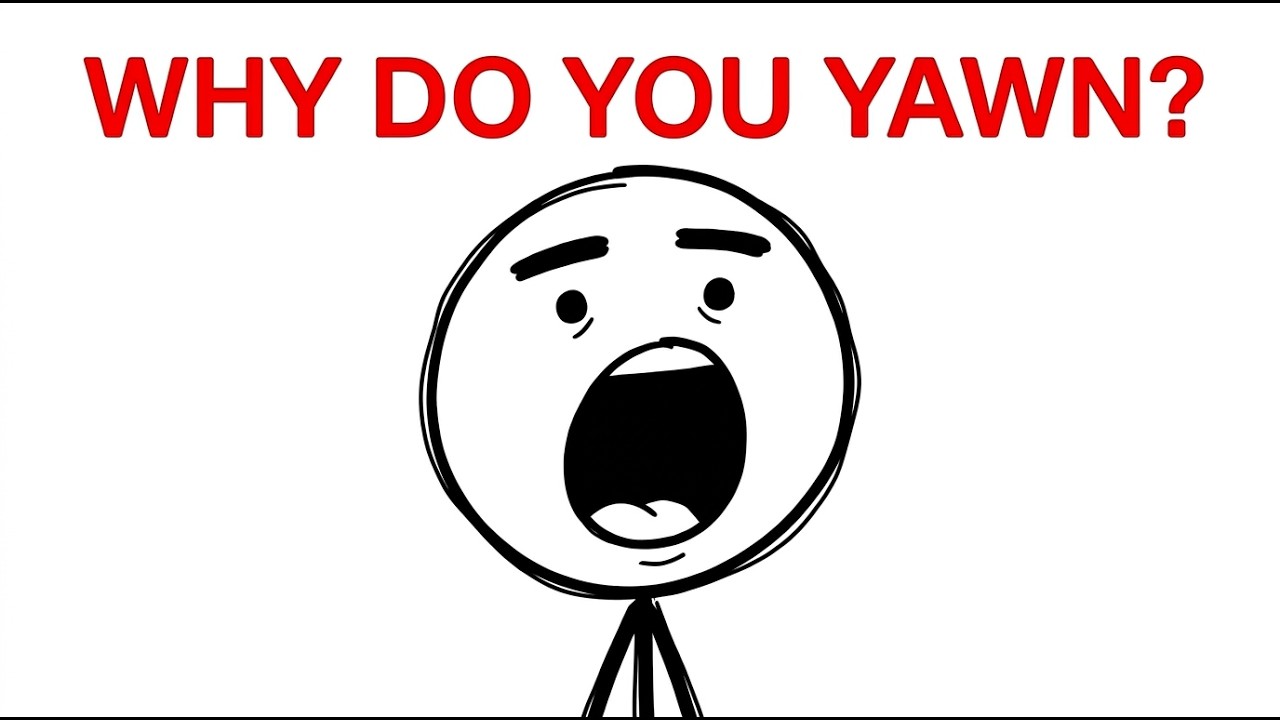 You've Been Yawning for the Wrong Reason Your Whole Life!