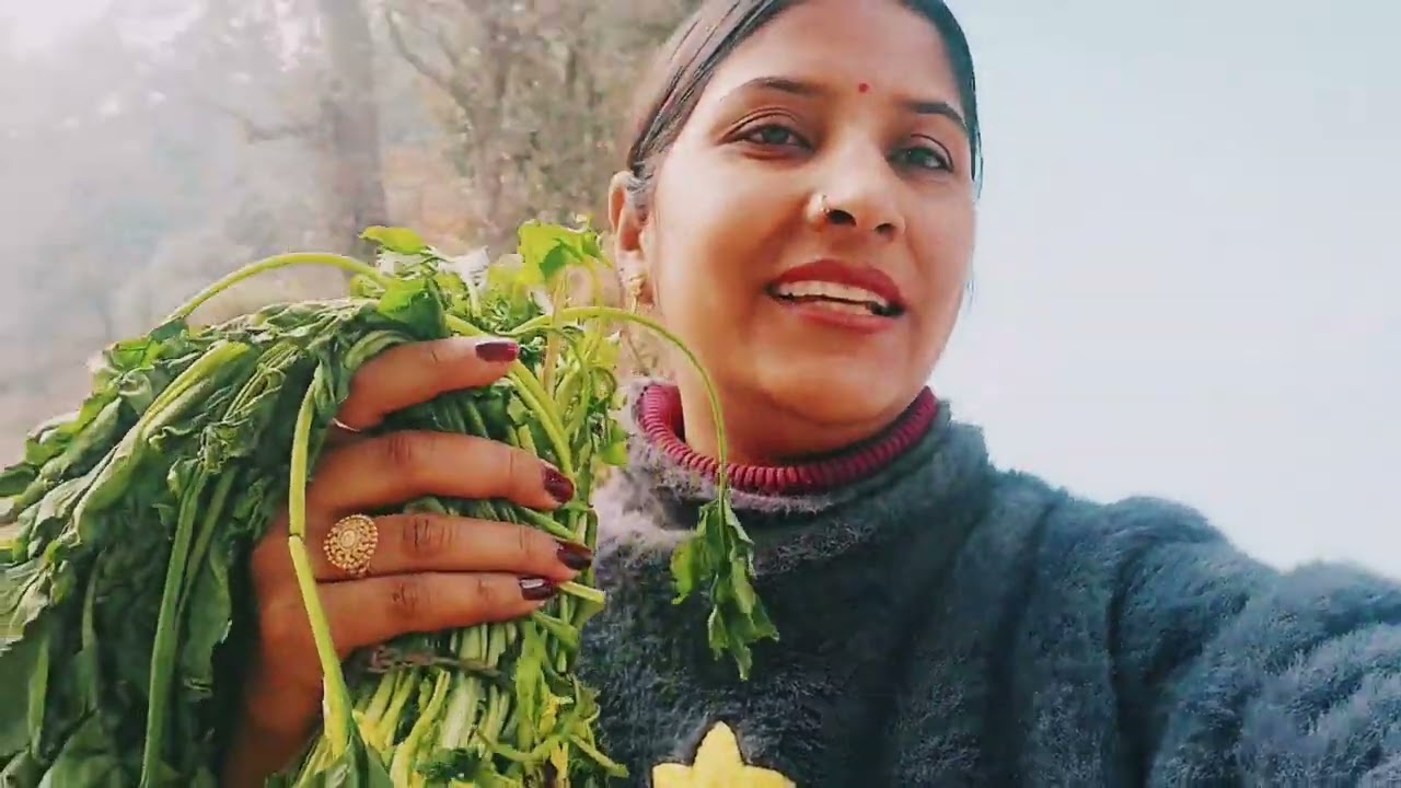 आज हमने बनायी पालक की kaapli🥗, और साथ ही लगाए फूल🏵🌸#pahadisabji #pahadi #viral #youtube #flowers 