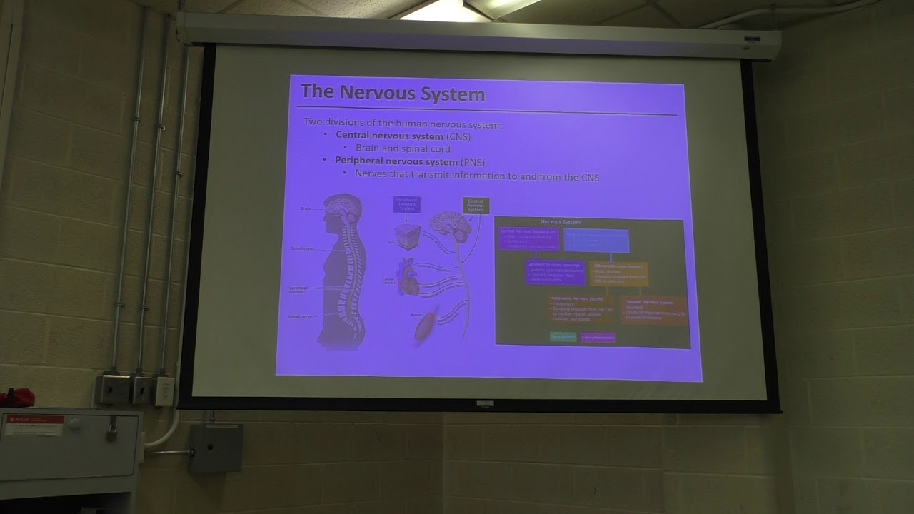 Neural Control of Human Movement 1 - EDKP 395 (27sept2018) - Part 1 of 2