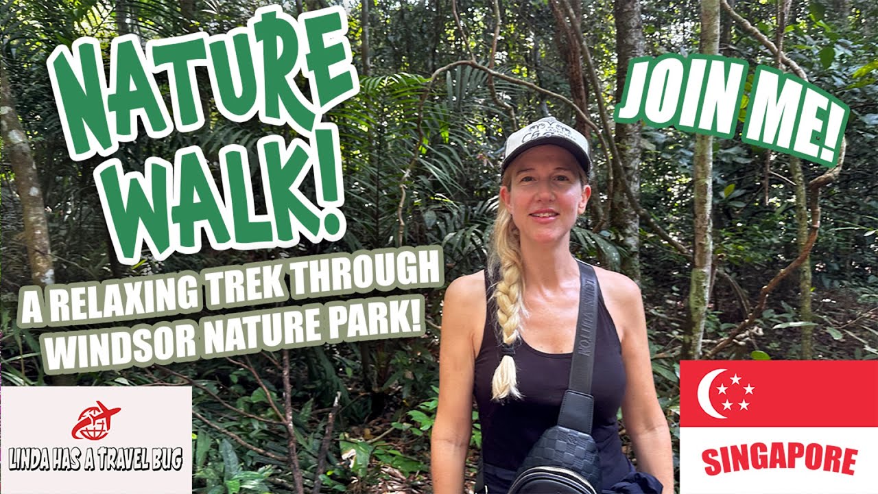 Relaxing ASMR Nature Walk at Windsor Nature Park, Singapore &ndash; Vibrant Green Trails & Lush Landscapes