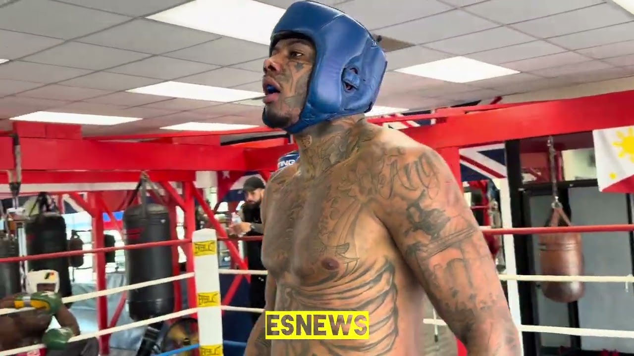You don’t play boxing watch Bluefase six rounds today
