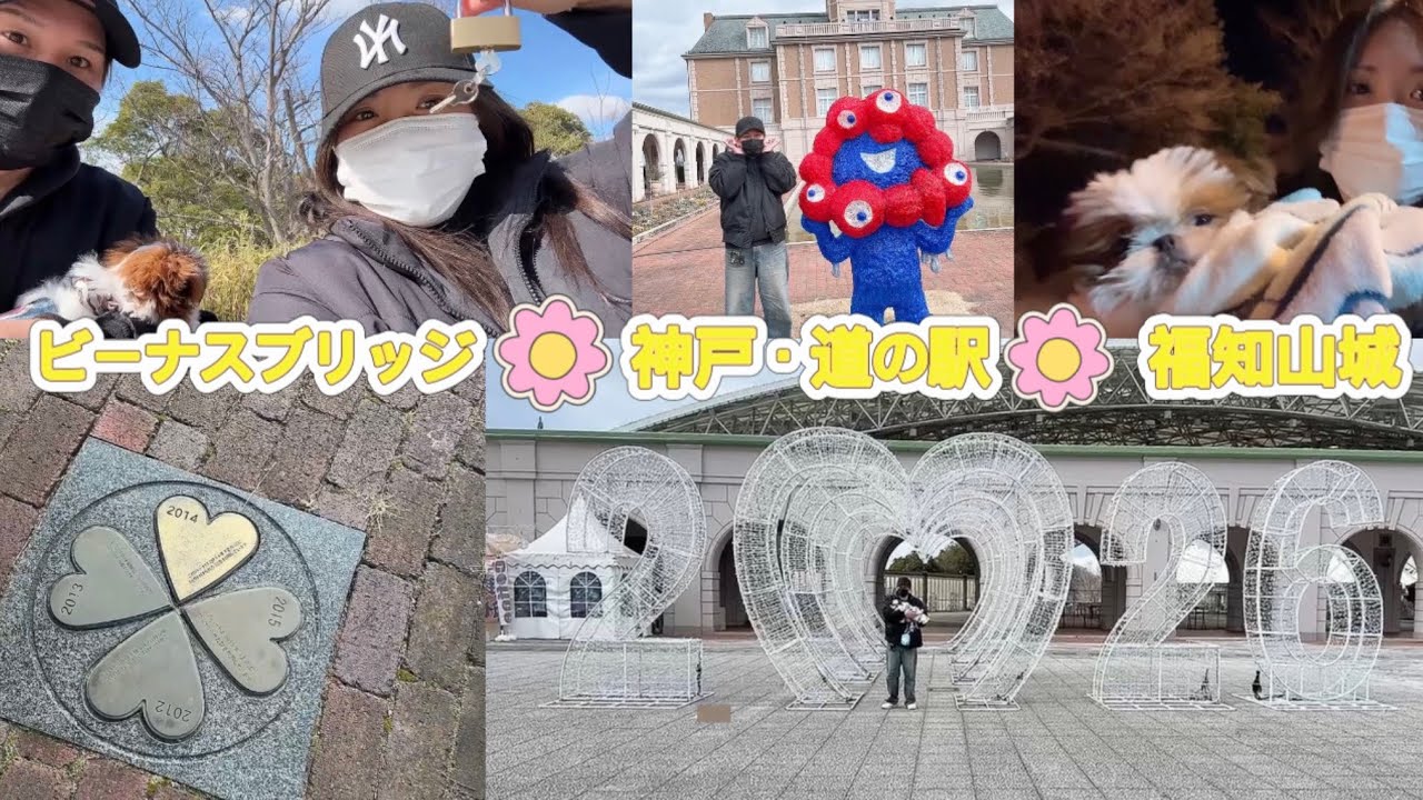 【vlog】愛犬と神戸and夜の福知山城