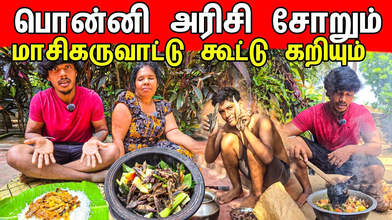 மாசிகருவாட்டு கறியை பார்த்து வாய் ஊறிய அம்மா🤣  / masi Dry Fish /  Tamil bros