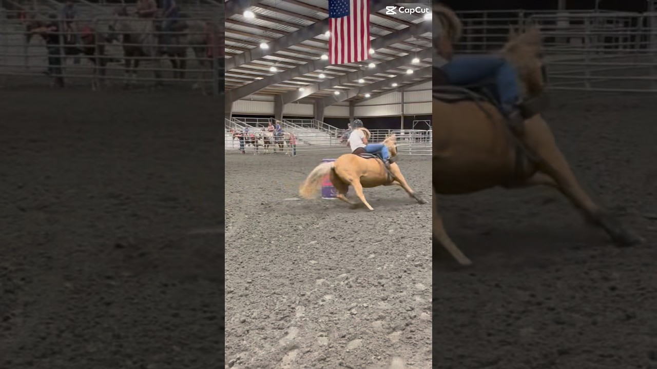 😍😍😍 #horse #barrelhorse #equestrian #barrelracing #rodeo#trending#tredingshorts