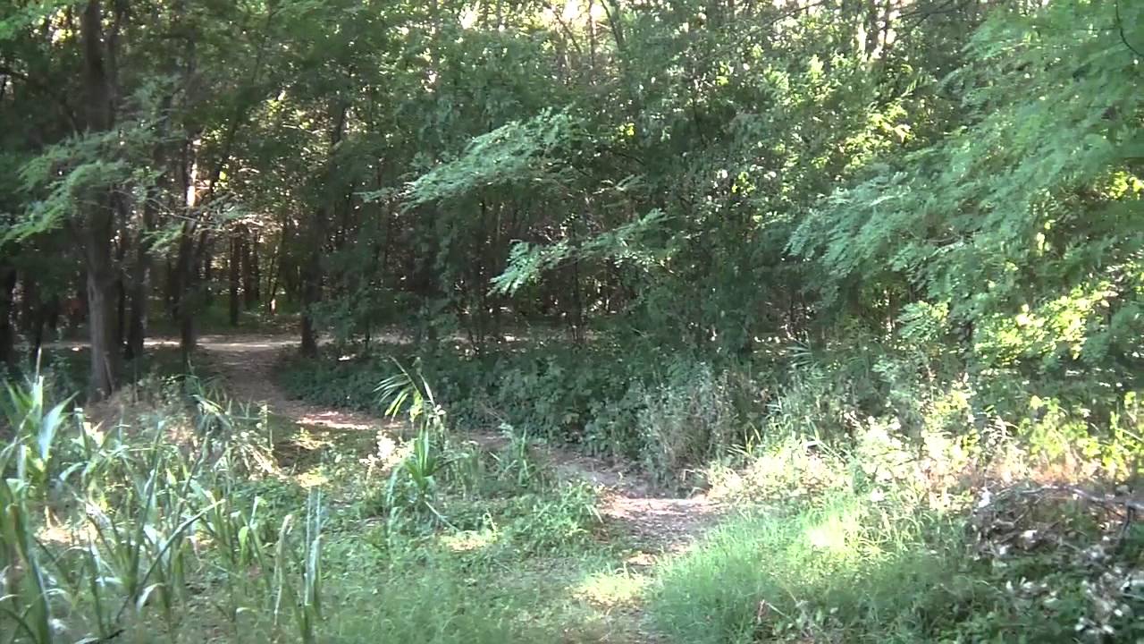 Legambiente: alla scoperta del Bosco di Fusignano (RA)
