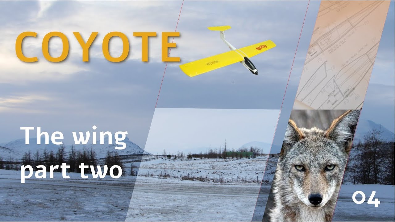 Coyote build Part 4; the Wing, Part Two