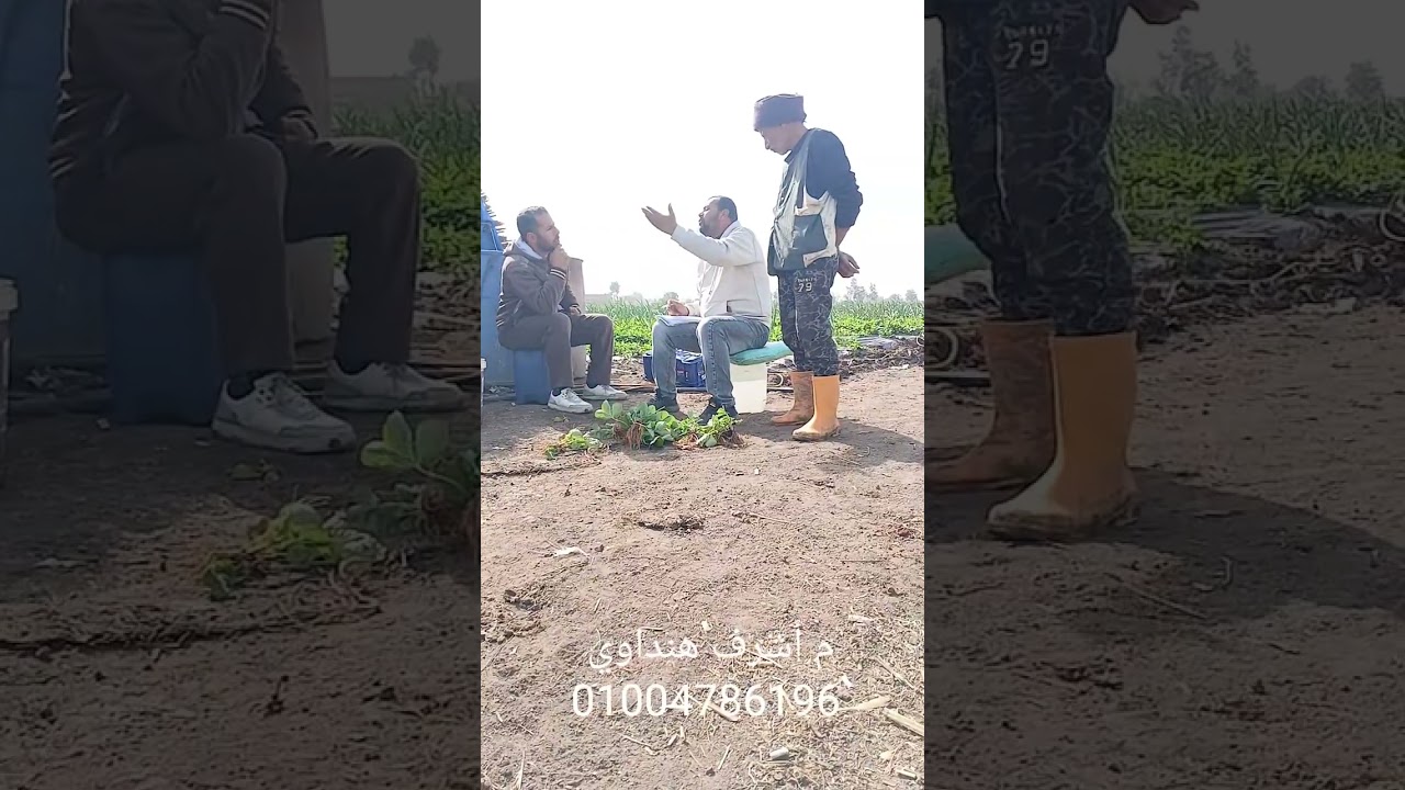 اجمد حوار مع اجمد مزارعين .. بخصوص العنكبوت الأحمر ..   فراولة الإنتاج 🍓 