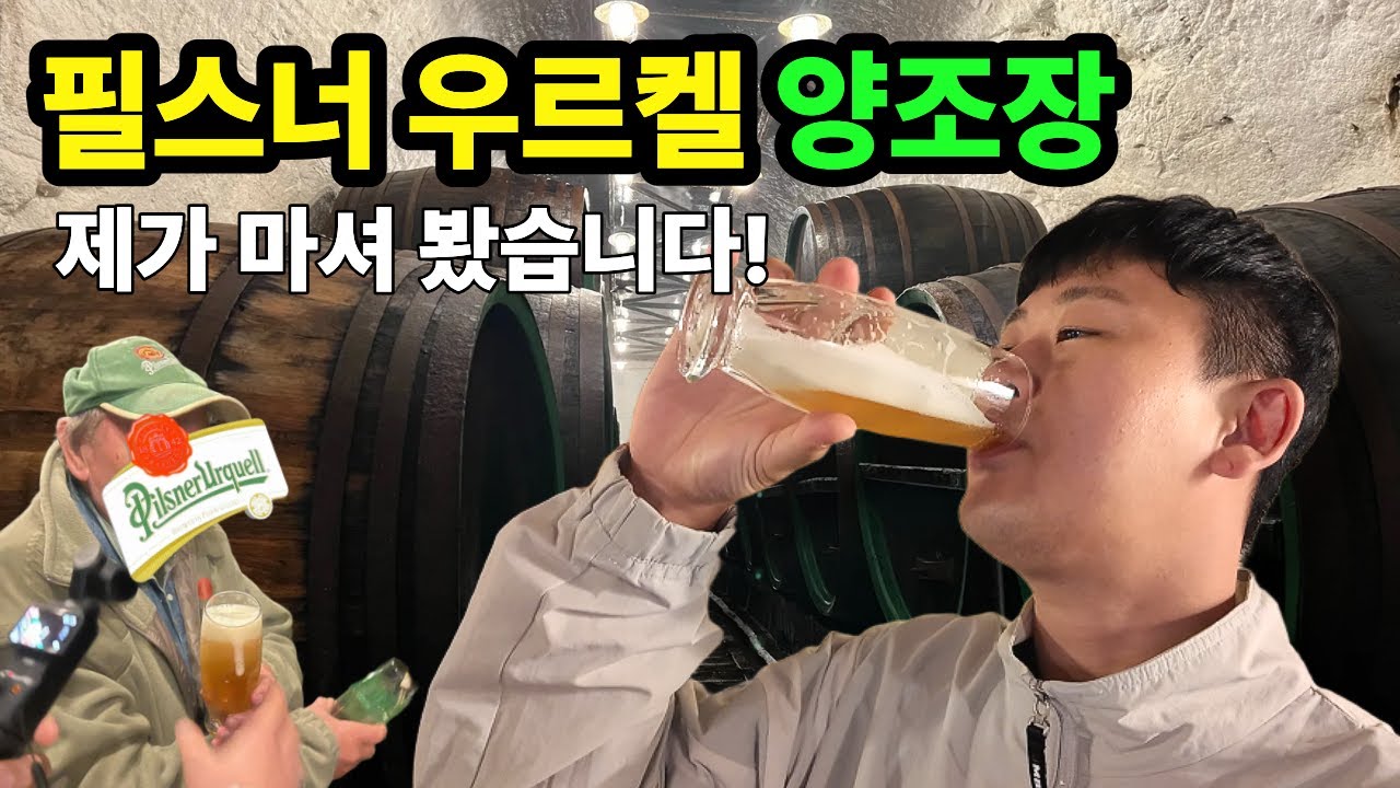 체코 플젠 필스너우르켈 양조장 제가 마셔봤습니다!