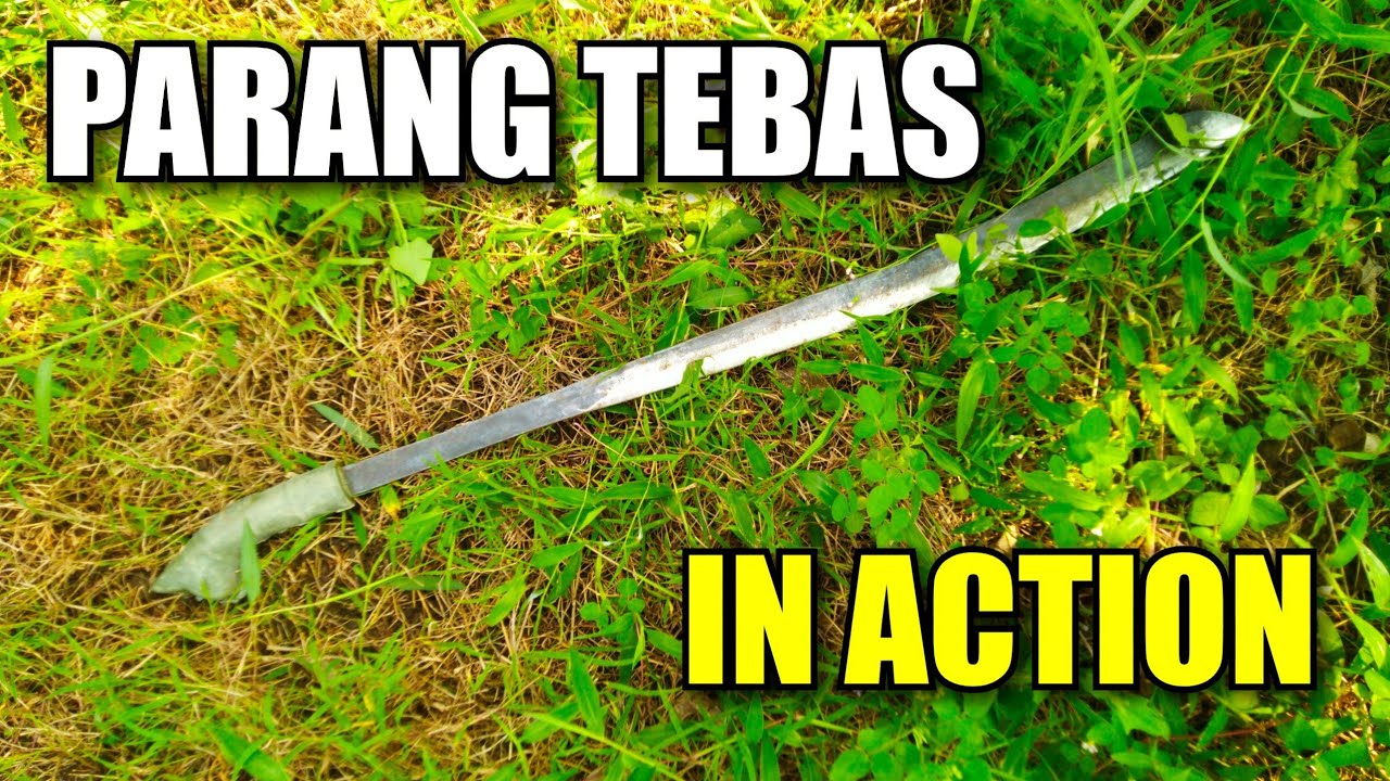 Parang Tebas dari Sumatra in Action