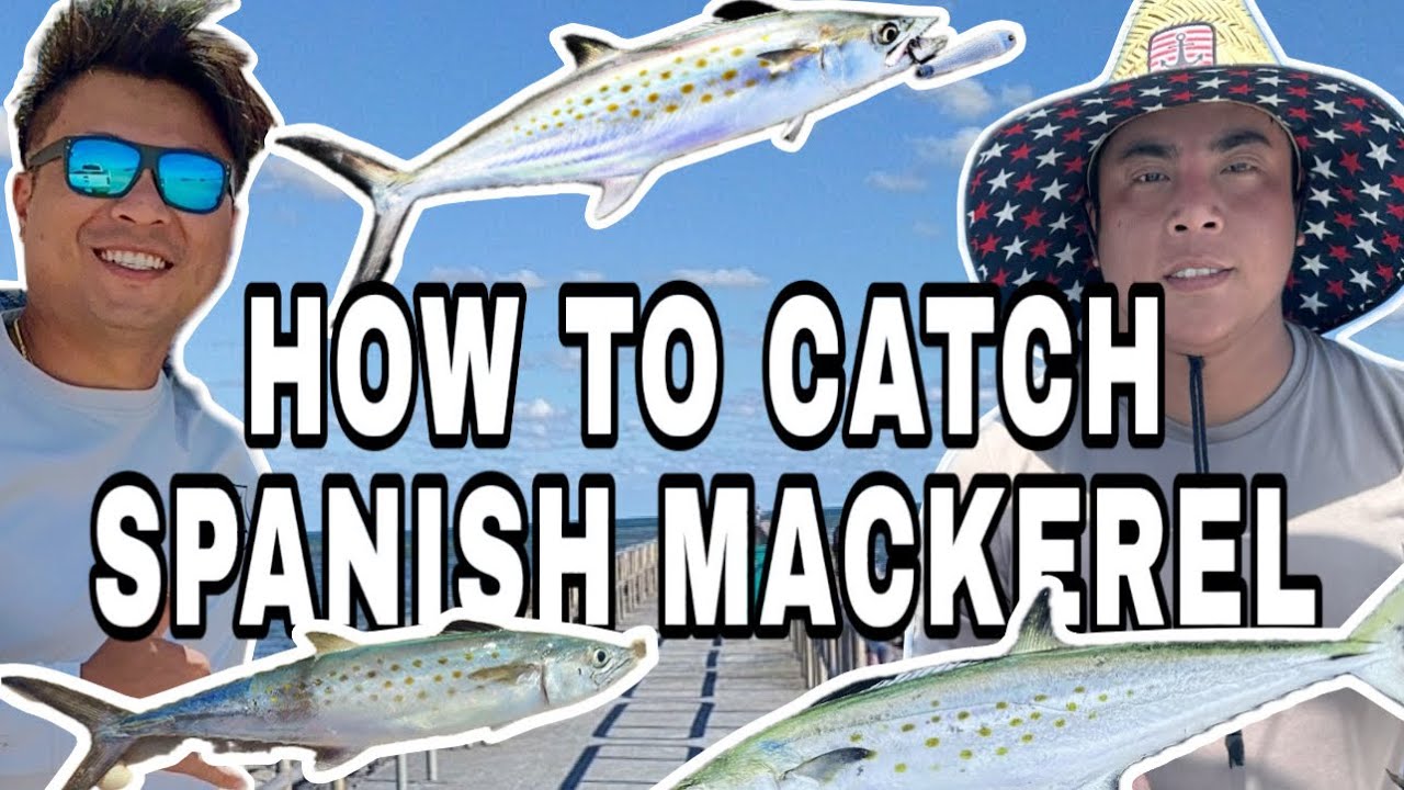 HOW TO CATCH SPANISH MACKEREL / CORPUS CHRISTI, TEXAS FISHING / PACKERY JETTY / ĐI CÂU CÁ THU ẢO