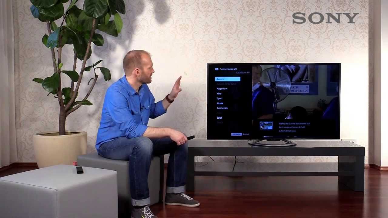 SONY BRAVIA TV - 6 individuelle Einstellungen