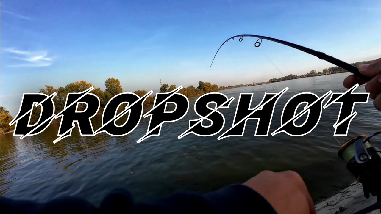 Pecanje Smudja na Dunavu  !DROPSHOT!