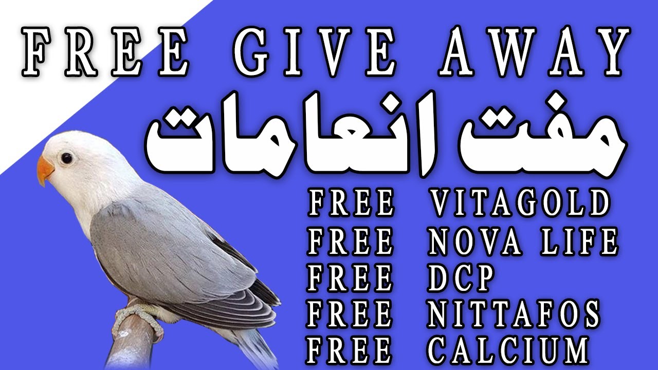 breeding formula and multivitamins for budgies breedings. Video No 452