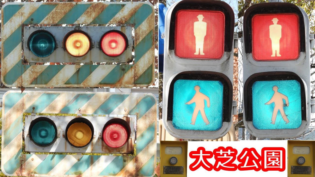 大芝公園のゼブラ付角形200φ　点灯！