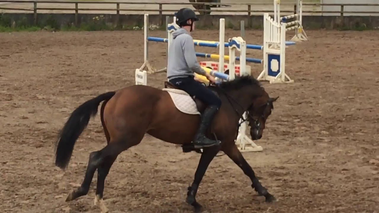 Imp lux vivendi 1m