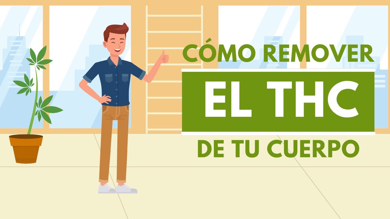 &iexcl;C&oacute;mo eliminar el THC de tu sistema!