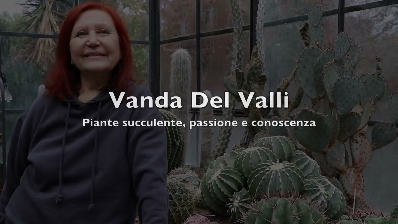 PIANTE SUCCULENTE, PASSIONE E CONOSCENZA. Di Vanda Del Valli